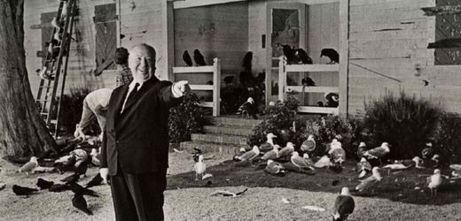 Alfred Hitchcock při natáčení kultovního hororu Ptáci.